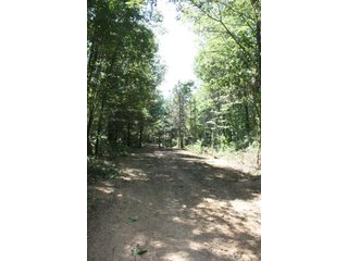 Property photo 35 - 419 +/- Acres offered in 6 Tracts, Land Auction